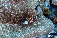 IMG_5816_2