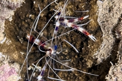 IMG_0612-scaled