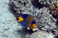 IMG_1208-scaled